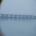 Vraj-Yatra-2014- (1319)